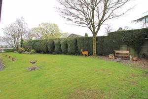 Photo 6- click for photo gallery